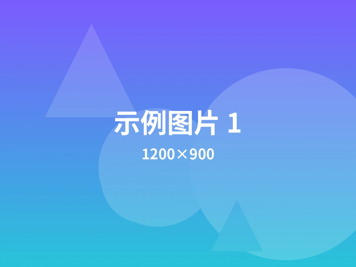 示例图片 1