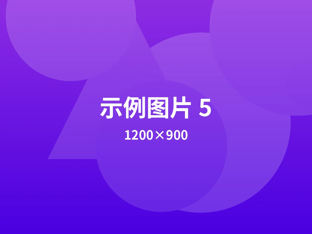 示例图片 5
